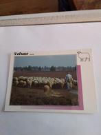 EPE - HEERDE.  /SCHAAPSKUDDE HEIDE EPE- HEERDE, Ophalen of Verzenden, 1980 tot heden, Gelderland