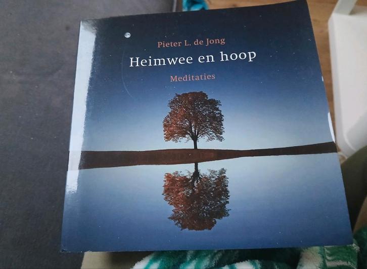 Heimwee en hoop - Pieter L. de Jong, Boeken, Godsdienst en Theologie, Zo goed als nieuw, Christendom | Protestants, Ophalen of Verzenden
