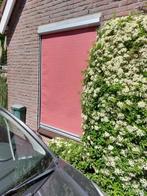 Drie screens 1,24 m breed, 1,24 m breed en 1,86 m breed, Ophalen, Gebruikt, Minder dan 250 cm, 150 tot 300 cm