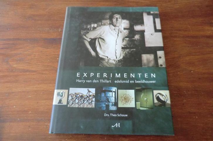 boek - Harry van den Thillart - Experimenten - Theo Schouw, Boeken, Kunst en Cultuur | Beeldend, Gelezen, Beeldhouwkunst, Ophalen of Verzenden