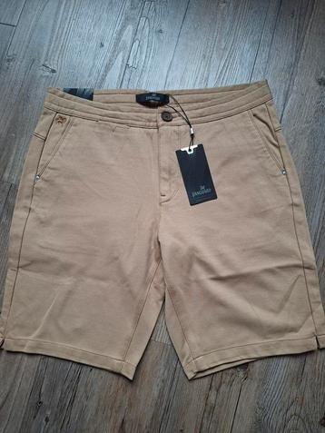 VANGUARD chino short W30  beschikbaar voor biedingen