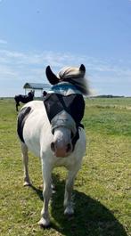 Bijrijder (21+ jaar) gezocht, Dieren en Toebehoren, Ophalen, Zo goed als nieuw