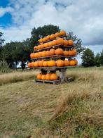 Pompoenen & Kalabassen, Tuin en Terras, Ophalen, Volle zon, Groenteplanten, Eenjarig