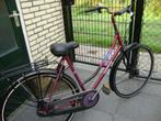 mooi opgetinte damesfiets laag frame Batavus Torino, Fietsen en Brommers, Ophalen, Gebruikt, 47 tot 50 cm, Batavus