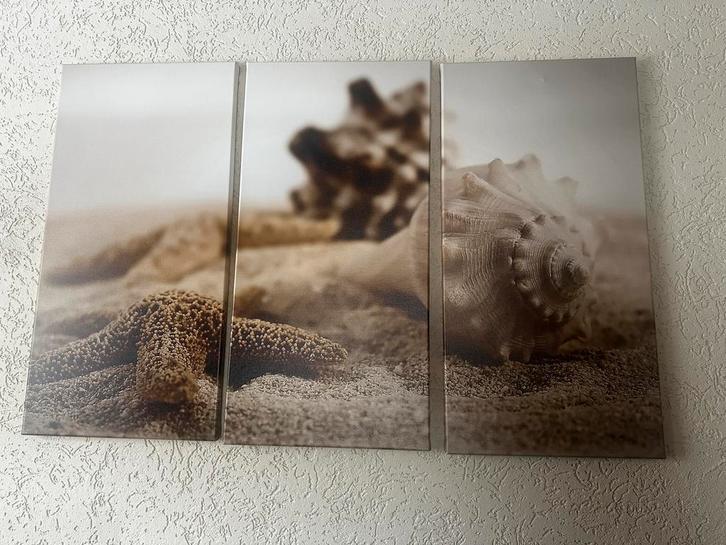 Drieluik Schilderij met Schelpen, Huis en Inrichting, Woonaccessoires | Schilderijen, Tekeningen en Foto's, Zo goed als nieuw
