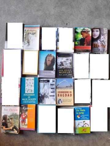 Hendriks Sander : Een ideale wereld? beschikbaar voor biedingen