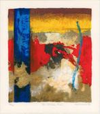 The broken chain 8/25 - Kunstenaar: Hans Vanhorck, Antiek en Kunst, Kunst | Litho's en Zeefdrukken, Ophalen of Verzenden
