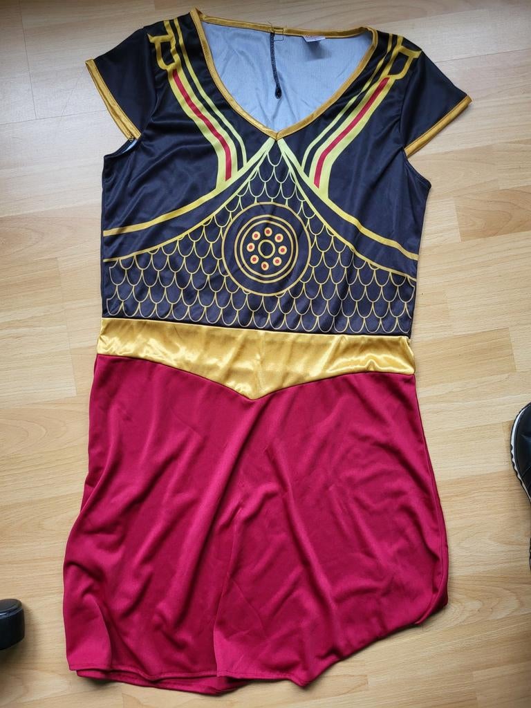 Carnavals pakje dames maat l, Ophalen of Verzenden, Zo goed als nieuw, Maat 38/40 (M), Carnaval