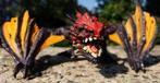 Dreigende Draak Angry Dragon, Verzenden, Zo goed als nieuw, Fantasy