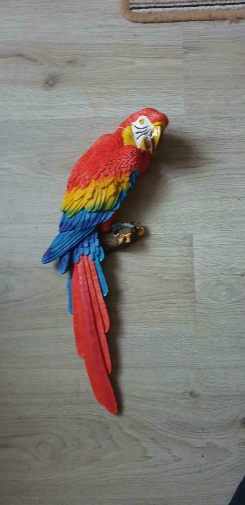 Papegaai ara rood wand hanger schutting 45 cm nieuw, Verzamelen, Beelden en Beeldjes, Nieuw, Dier, Ophalen of Verzenden