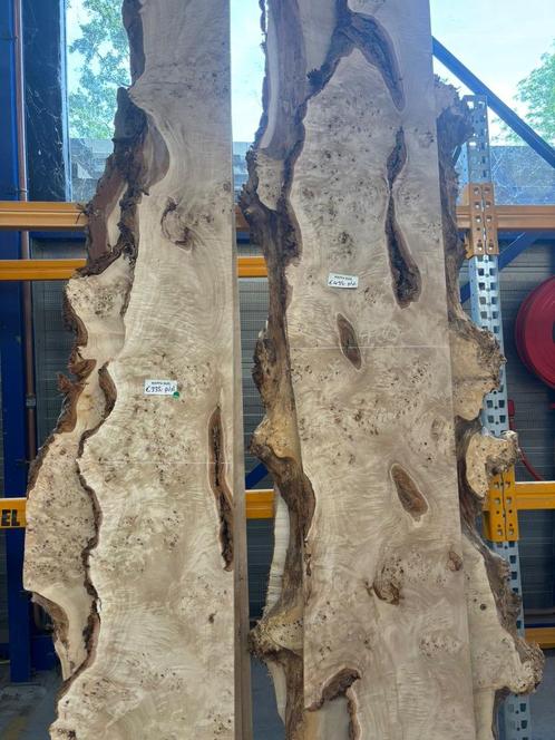 Mappa Burl schaaldelen, Tuin en Terras, Palen, Balken en Planken, Nieuw, Planken, 250 cm of meer, Ophalen