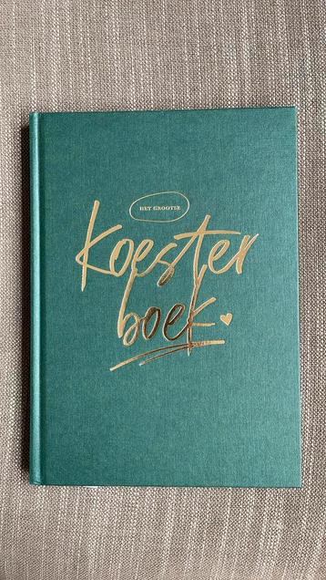 Het grootse koesterboek - Danielle Koudijs beschikbaar voor biedingen