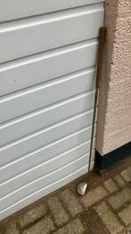 Lady Cobra oversize 5 offset 20 graden, met headcover., Ophalen of Verzenden, Gebruikt, Club