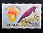 Venda (RSA) - vogel - Cinnyricinclus leucogaster - 25c, Ophalen of Verzenden, Dier of Natuur