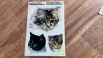 Ansichtkaart met stickers poezen katten kittens ongelopen, Ophalen of Verzenden