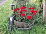 Planten/boom bak, Tuin en Terras, Minder dan 60 cm, Rond, Zo goed als nieuw, Hout