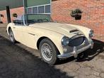 Austin Healey 3000 BJ8 Cabriolet 1966 MATCHING OVERDRIVE, Overige merken, Zwart, Cabriolet, Wit