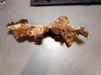 Aquarium hout, Ophalen of Verzenden, Plant(en), Steen of Hout