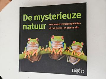 De mysterieuze natuur beschikbaar voor biedingen