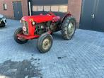 1957 Massey Ferguson 35 Oldtimer tractor, Zakelijke goederen, Agrarisch | Tractoren, Oldtimer, Massey Ferguson