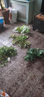 Te koop bruiloft decoratie kunst planten, Hobby en Vrije tijd, Feestartikelen, Ophalen, Versiering, Geboorte of Huwelijk