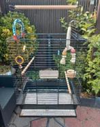 Grote vogelkooi / binnenvoliere met valkparkiet, Dieren en Toebehoren, Ophalen of Verzenden, Metaal, Vogelkooi