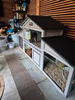 2 konijnen inclusief hok, Dieren en Toebehoren, Konijnen, Meerdere dieren, Dwerg, 0 tot 2 jaar