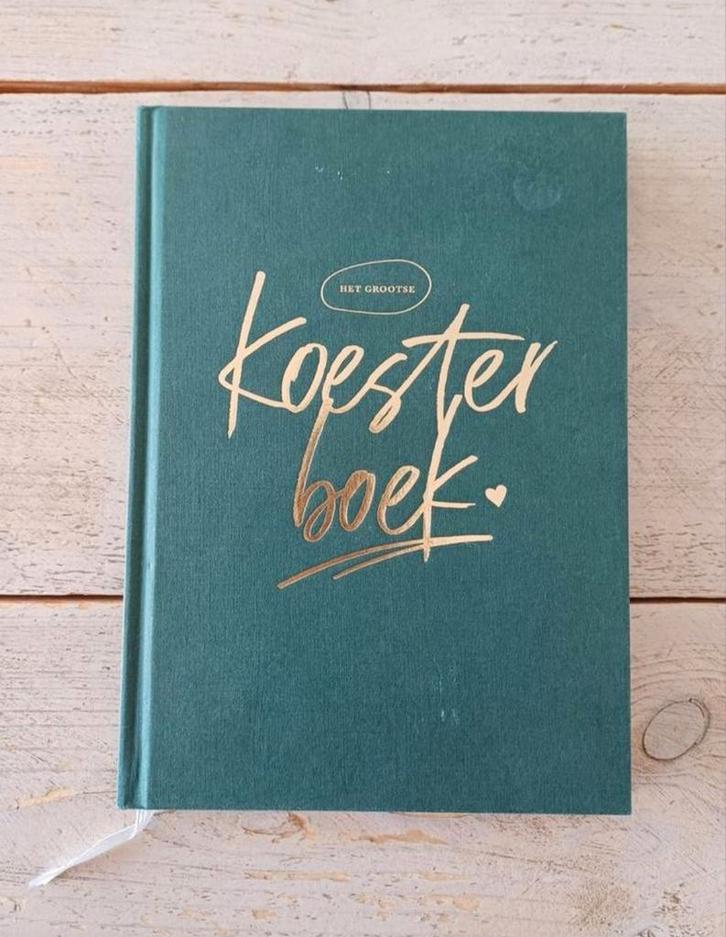 Daniëlle Koudijs - Het grootse koesterboek, Boeken, Kinderboeken | Baby's en Peuters, Zo goed als nieuw, Ophalen of Verzenden