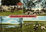 Recreatieoord Camping Zorgvlied [Dr.] - 4 afb o.a. hunebed -, Verzamelen, Ansichtkaarten | Nederland, Ophalen of Verzenden, 1960 tot 1980