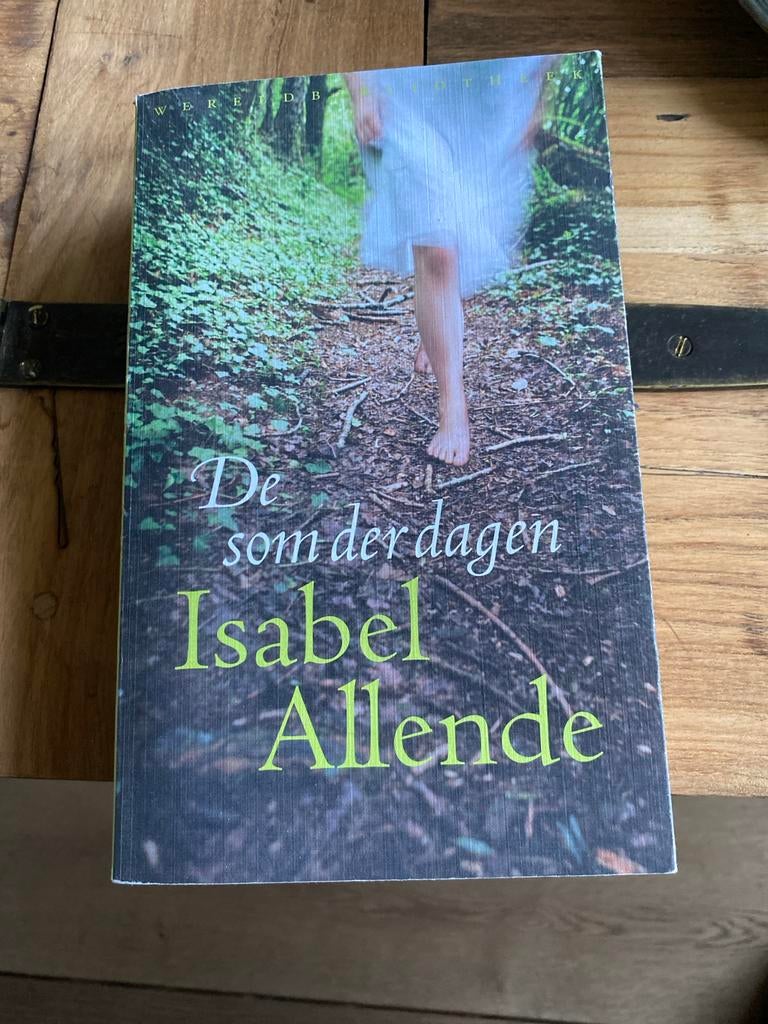 De som der dagen - Isabel Allende, Boeken, Ophalen of Verzenden, Zo goed als nieuw, Wereld overig