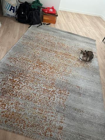 Zuiver Magic Grijs/Oranje vloerkleed 200x290 beschikbaar voor biedingen