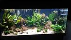 juwel aquarium 180 incl alle toebehoren, Dieren en Toebehoren, Vissen | Aquaria en Toebehoren, Ophalen, Gebruikt, Leeg aquarium