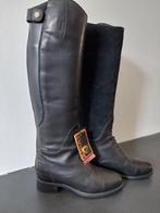 Rijlaarzen Ariat - mt38 - nieuw, Dieren en Toebehoren, Paardrijkleding, Dressuur, Nieuw, Ophalen of Verzenden, Dames