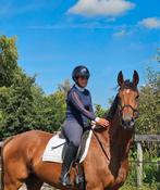 6jarige stoere grote merrie 172cm zoekt forever home, Dieren en Toebehoren, Merrie, Gechipt, L, Recreatiepaard