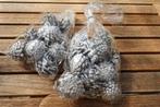 kerst - 2 zakken zilverkl dennenappels -deco- samen € 3,00, Ophalen of Verzenden, Nieuw