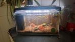 Aquarium van 20l van superfish, Dieren en Toebehoren, Ophalen of Verzenden, Gebruikt, Overige typen