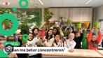 Gezocht: stevige kamerplanten voor in de klas., Huis en Inrichting, Kamerplanten, Ophalen, Overige soorten, Minder dan 100 cm