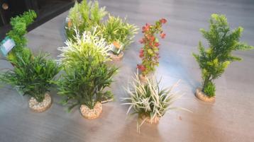 planten aquarium  beschikbaar voor biedingen