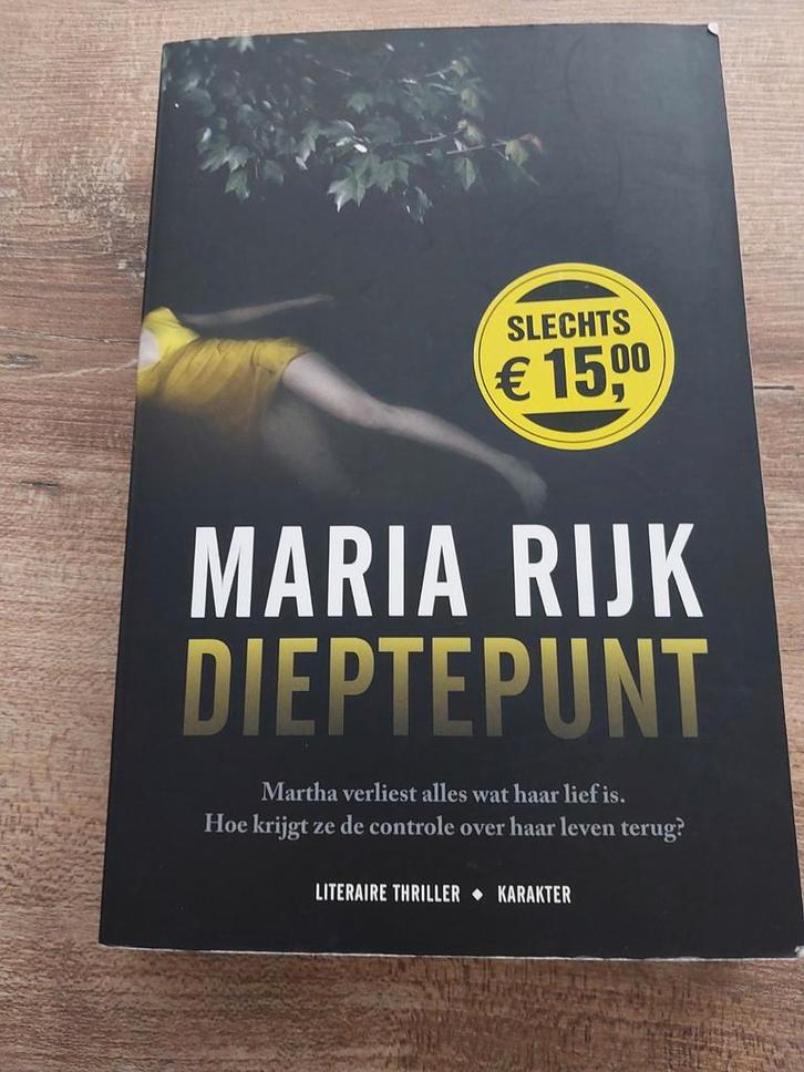 Maria Rijk- Dieptepunt, Boeken, Detectives, Zo goed als nieuw, Ophalen of Verzenden