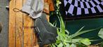 Balenciaga Speed 2.0, Kleding | Heren, Schoenen, Zwart, Ophalen of Verzenden, Balenciaga, Sneakers of Gympen