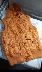 Vero Moda bodywarmer M, Kleding | Dames, Bodywarmers, Maat 38/40 (M), Overige kleuren, Vero Moda, Ophalen of Verzenden