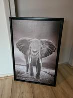 Canvas doek schilderij olifant in zwarte lijst, Huis en Inrichting, Woonaccessoires | Schilderijen, Tekeningen en Foto's, Ophalen