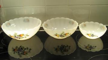 Arcopal schalen decor fruit izgs beschikbaar voor biedingen