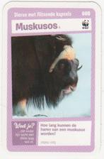 Super dieren no.8 Muskus os [2682]  [VeOvSu], Verzamelen, Supermarktacties, Albert Heijn, Ophalen of Verzenden