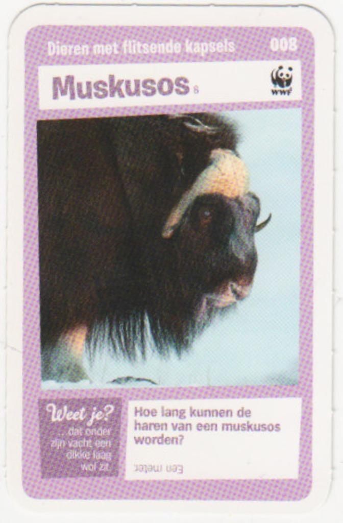 Super dieren no.8 Muskus os [2682]  [VeOvSu], Verzamelen, Supermarktacties, Albert Heijn, Ophalen of Verzenden