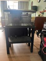 Aquarium 60x30x30, Dieren en Toebehoren, Reptielen en Amfibieën | Toebehoren, Ophalen of Verzenden, Zo goed als nieuw, Terrarium of Paludarium