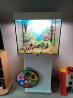 Juwel Lido 120, Ophalen, Gebruikt, Leeg aquarium