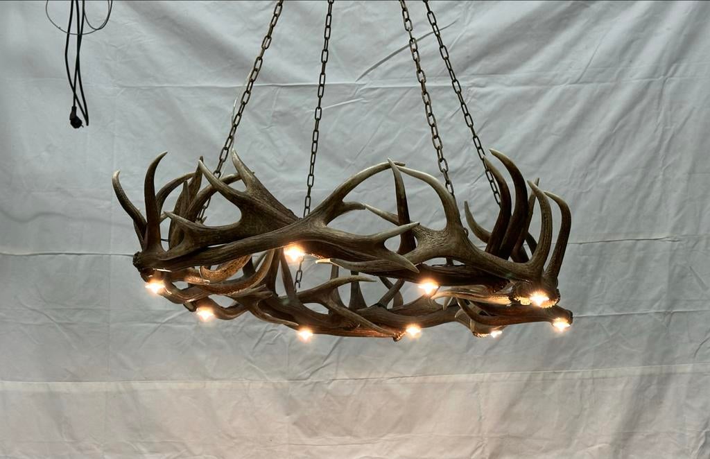 Geweilamp / Kroonluchter van Gewei, Huis en Inrichting, Lampen | Kroonluchters, Zo goed als nieuw, Ophalen