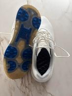 Inesis Golfschoenen - maat 42 nieuw nooit gebruikt, Sport en Fitness, Golf, Ophalen of Verzenden, Zo goed als nieuw, Schoenen
