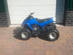 Eton quad automaat 90 cc met achteruit loopt goed, Fietsen en Brommers, Minibikes, Midibikes en Pitbikes, Ophalen, 90 cc
